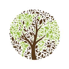 Nicky reflects on Creationtide